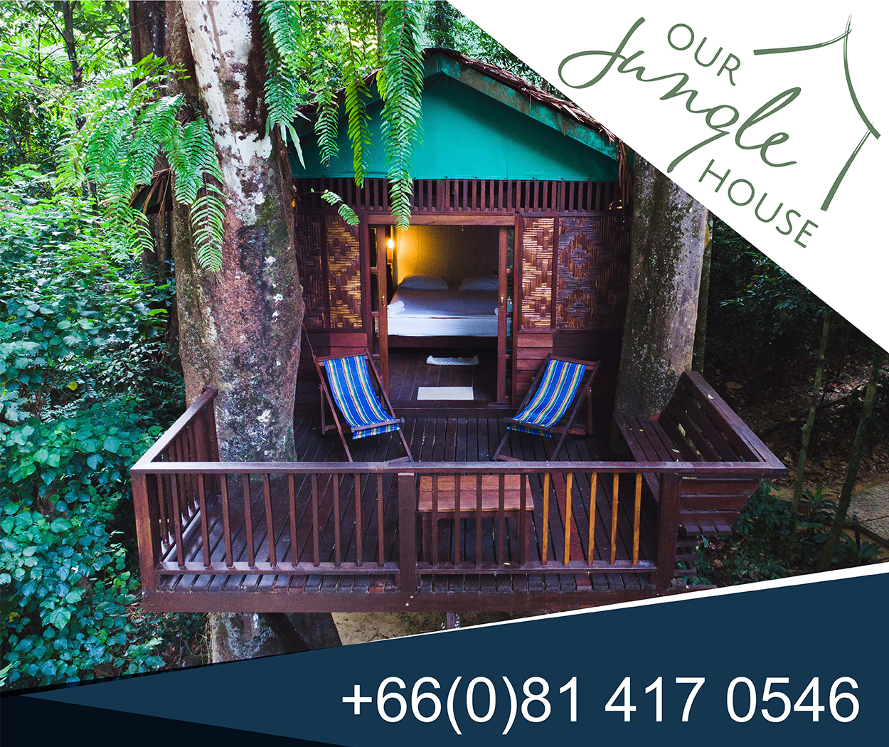 Our Jungle House